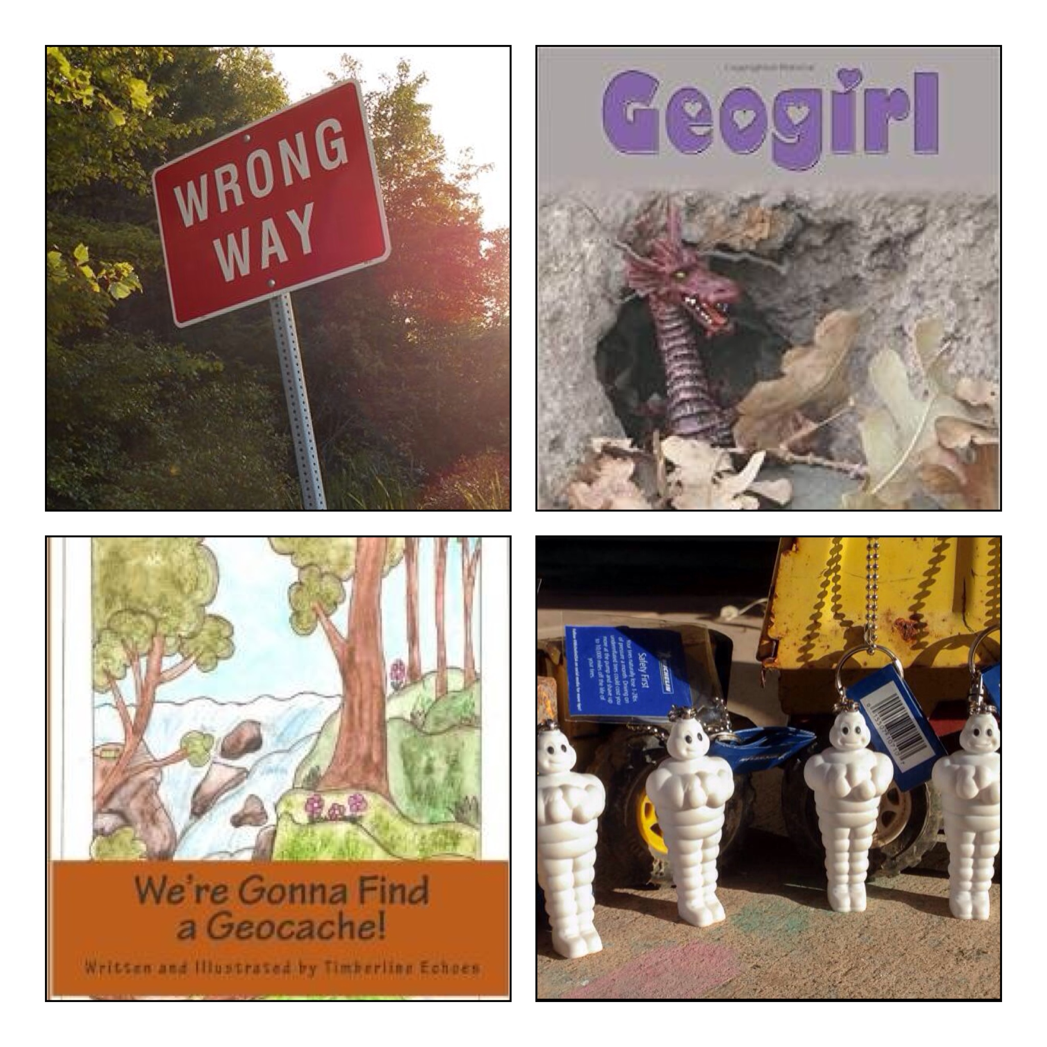 Show 485.0: Geocaching Books