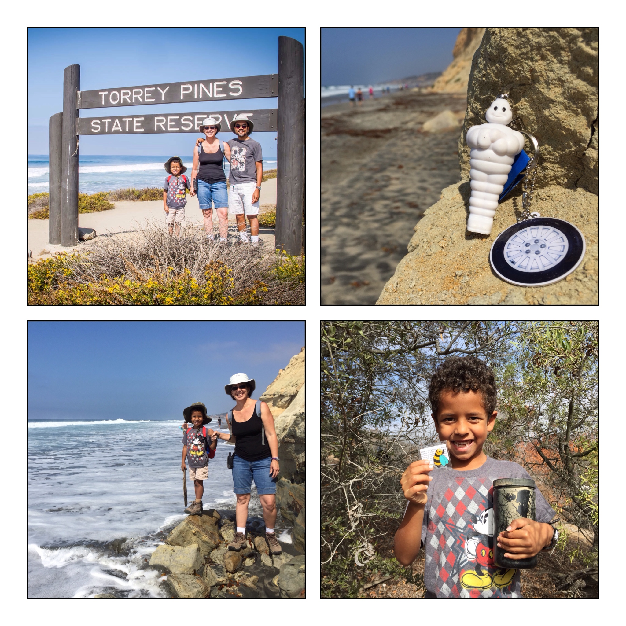 Show 489.0: International EarthCache Day 2014