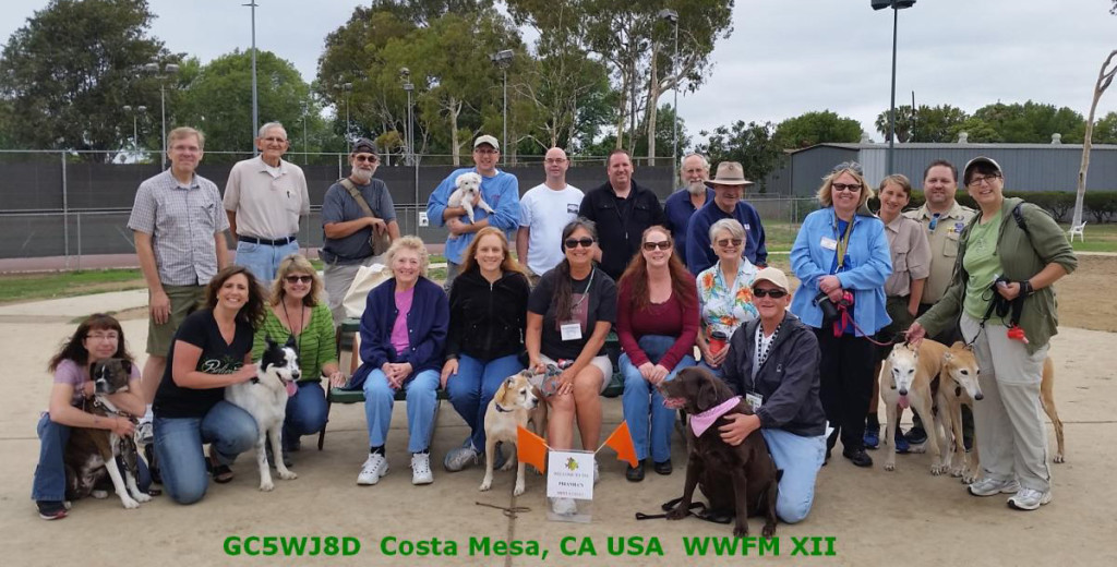 dog friendly wwfm geocaching flash mob