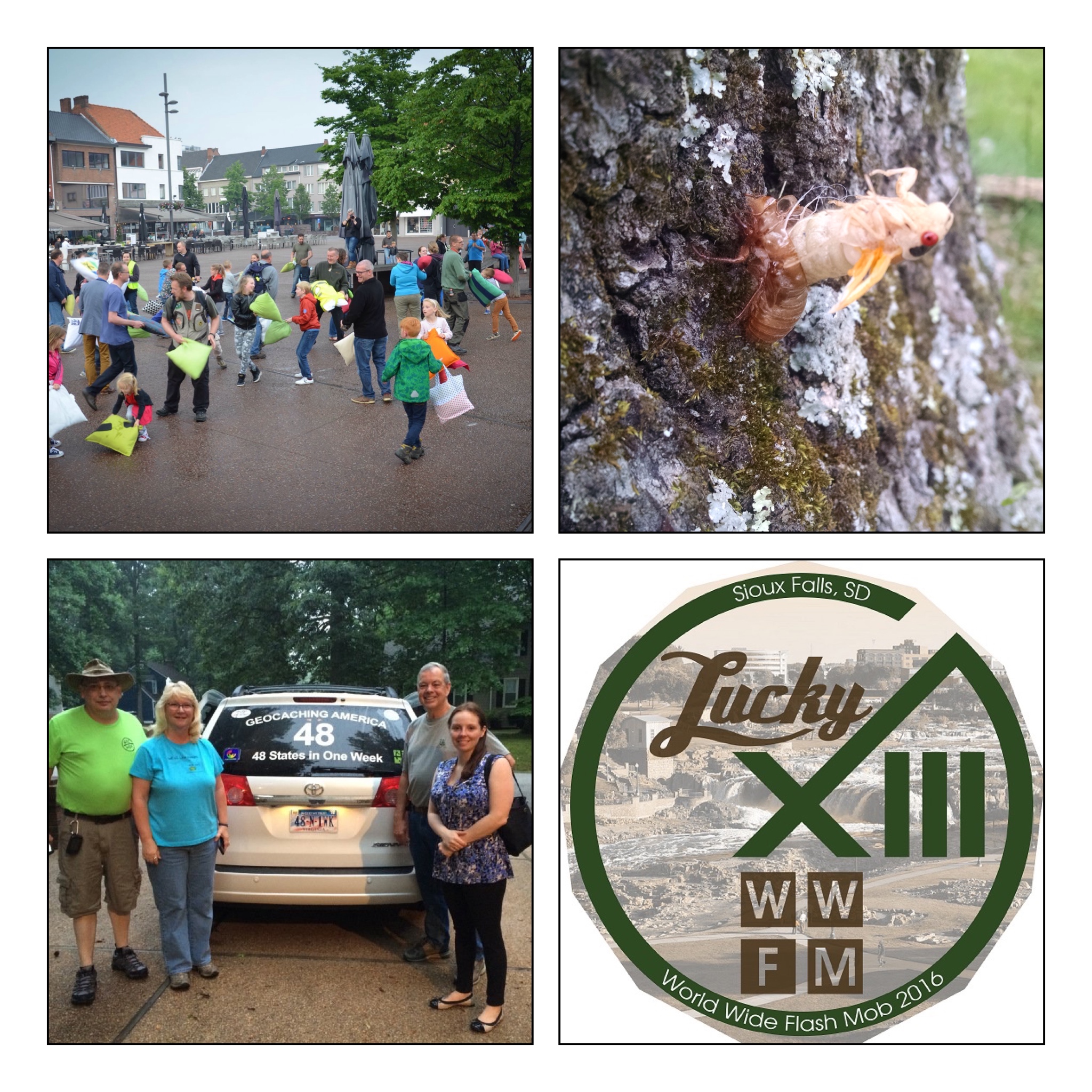 Show 557.0: WWFM XIII WorldWide Reports