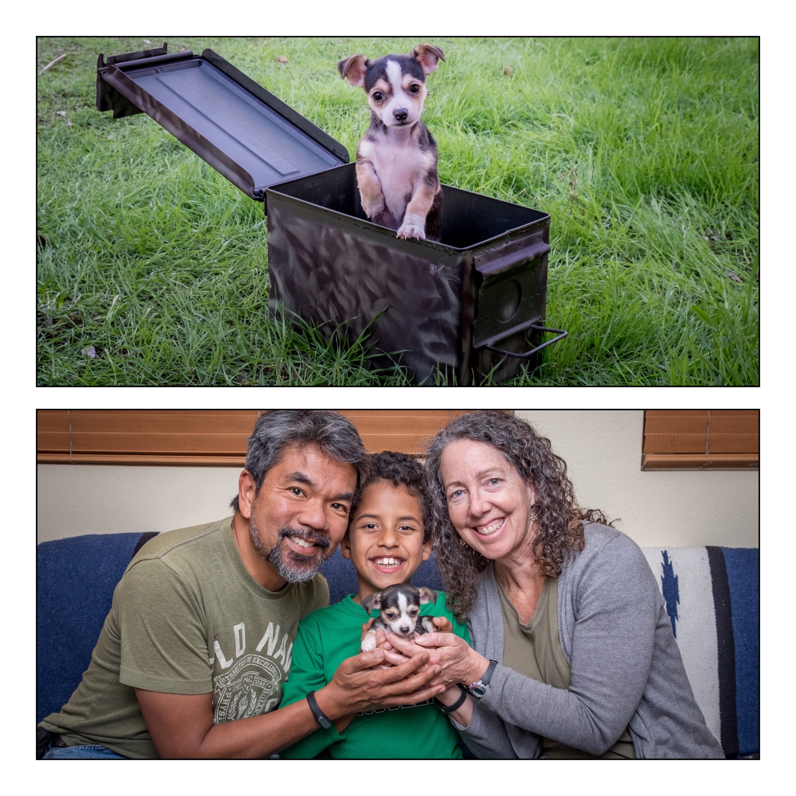 Show 621.0: Geo-Puppies!