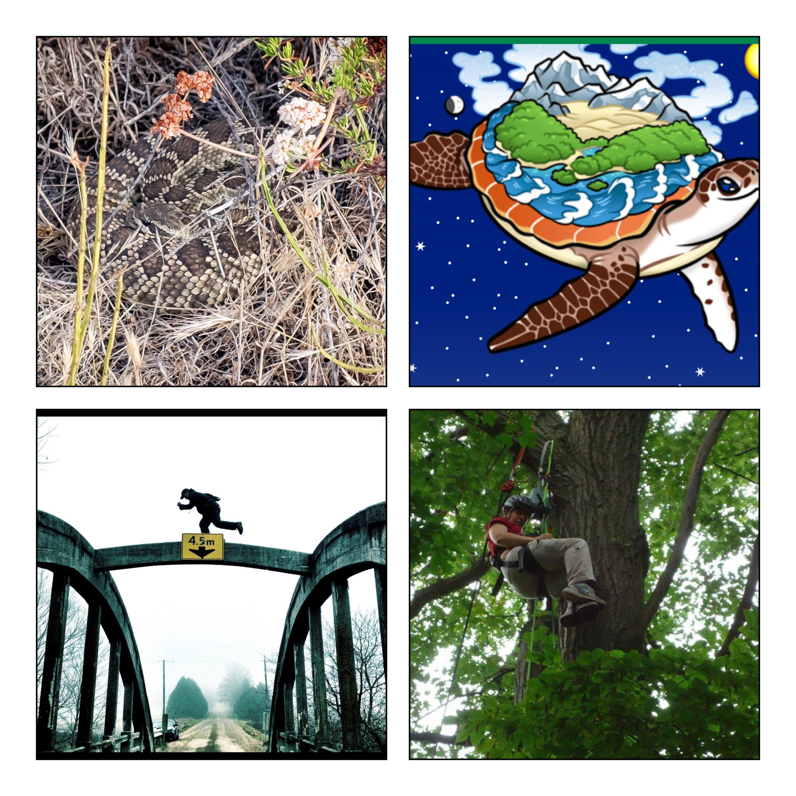 Show 634.0: Facing your FEARS while Geocaching