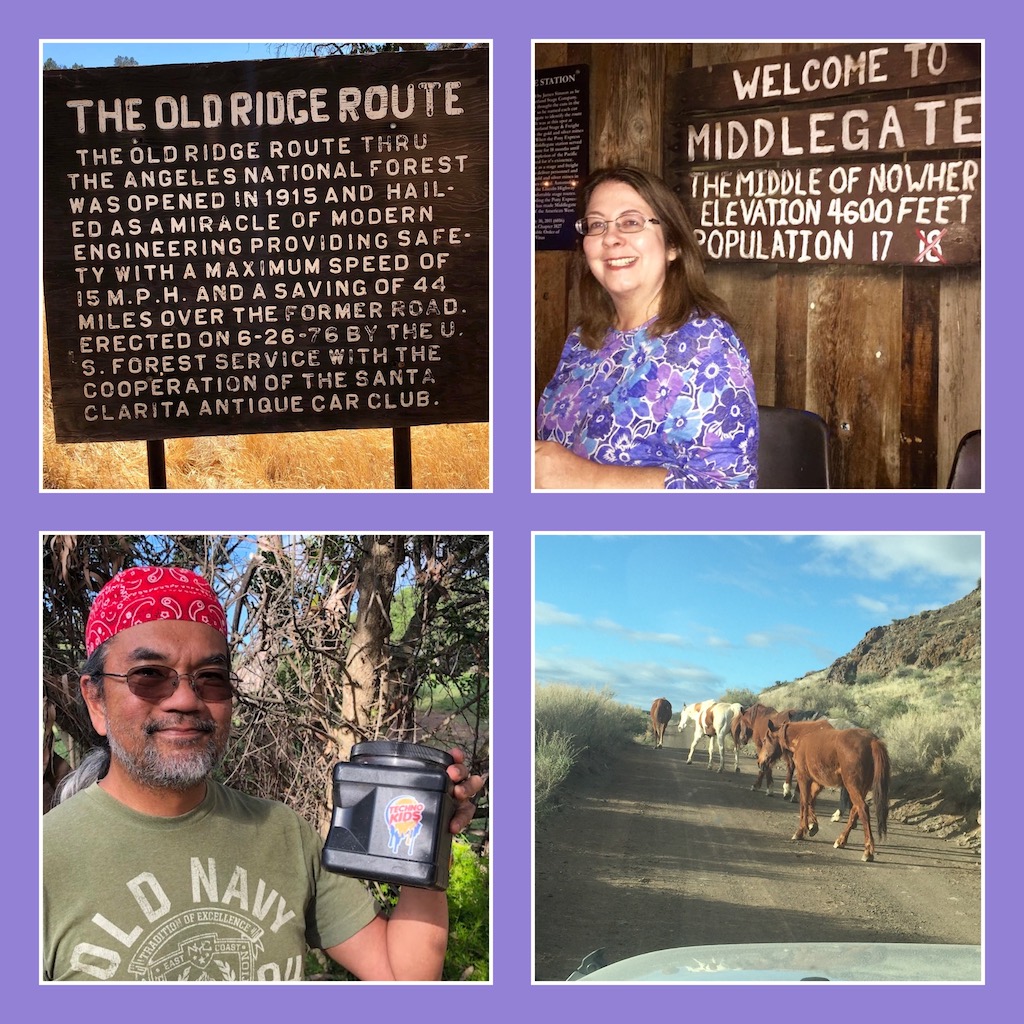 Show 796.0: Chat with Yosemite Debbie