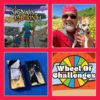 Show 826.0: Geocaching Questions and Answers IMG-3690