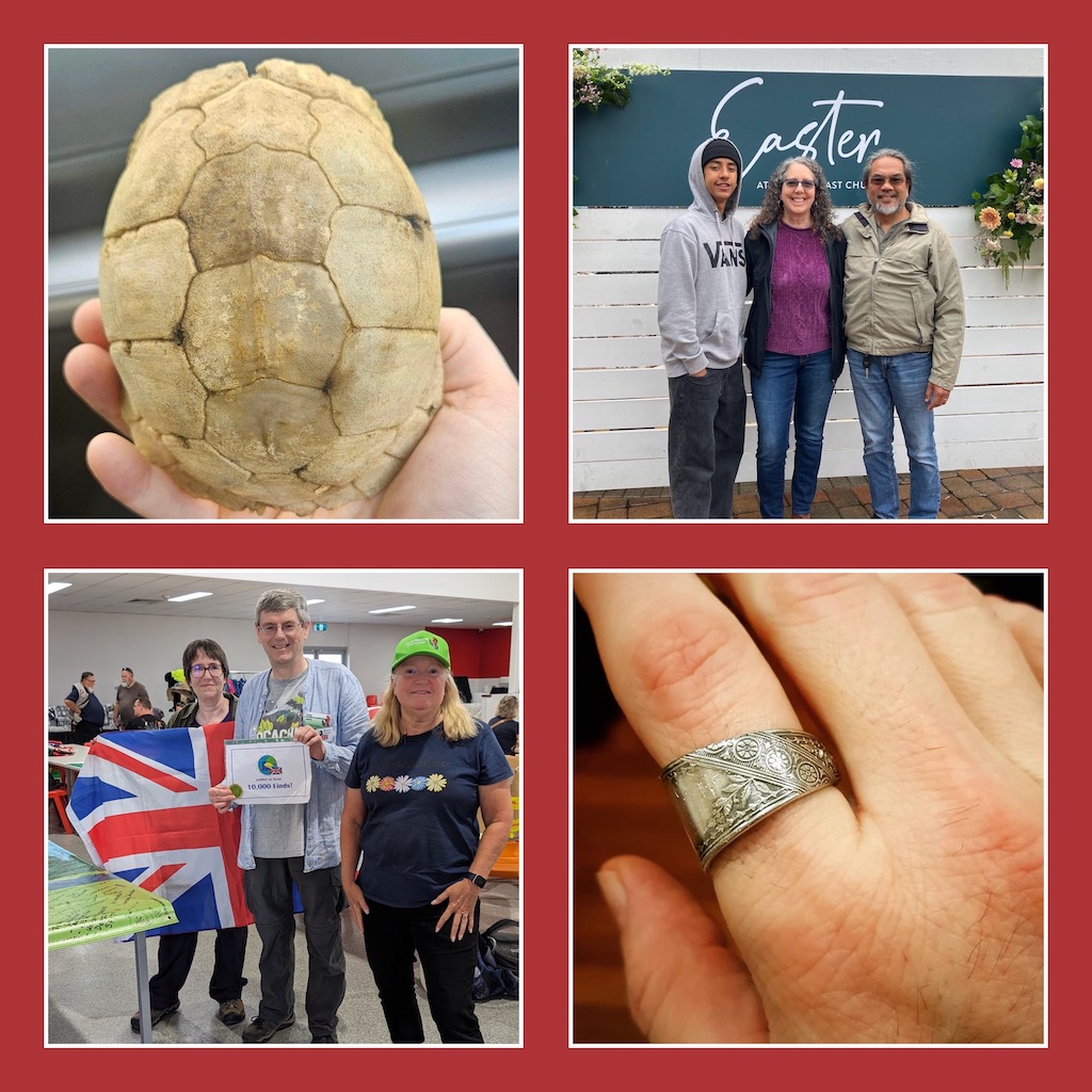 Show 864.0: Oddities Found While Geocaching